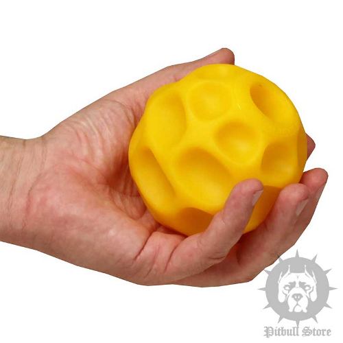 Dog Toy Ball Treat Dispenser