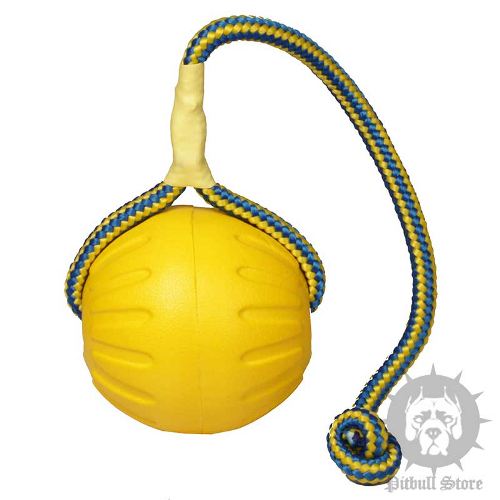 Foam Dog Ball Toy