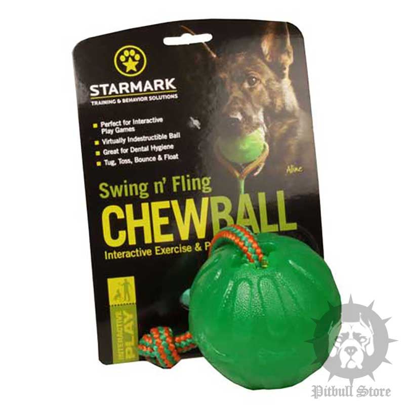 Dog Toys For My Staffy Dog Toys For My Staffy