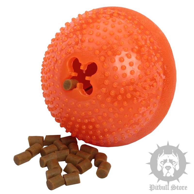 https://www.pitbull-dog-breed-store.co.uk/images/dog-toys/bento-ball-large-with-dog-chew-treats-for-staffy-big.jpg