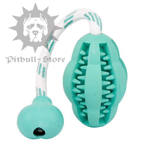 Dental Toy for Dogs
