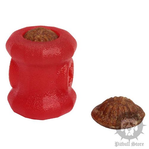 Treat Filled Dog Toy