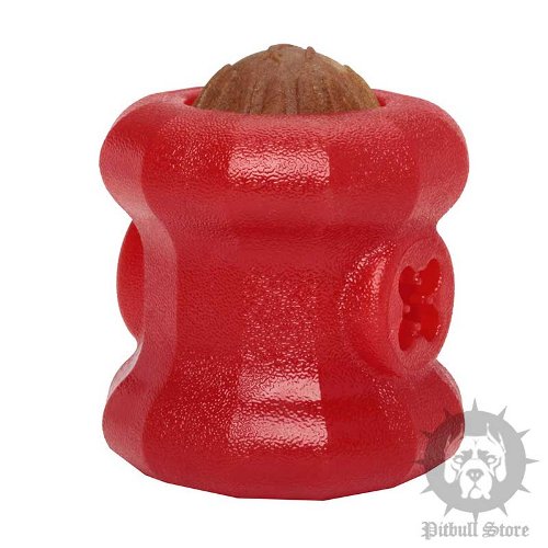 Dog Feeding Toy UK