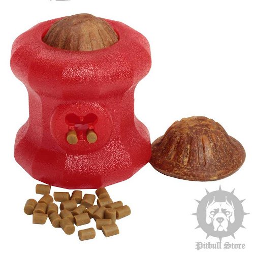 Dog Feeder Toy UK for Hard Chewers