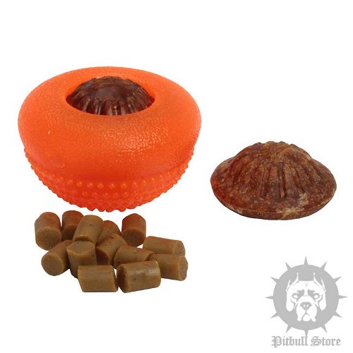 Educational Dog Toys UK
