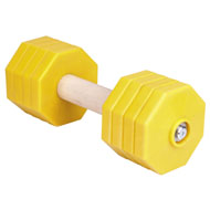 Dog Training Dumbbell with 8 Weight Plates, 2 Kg