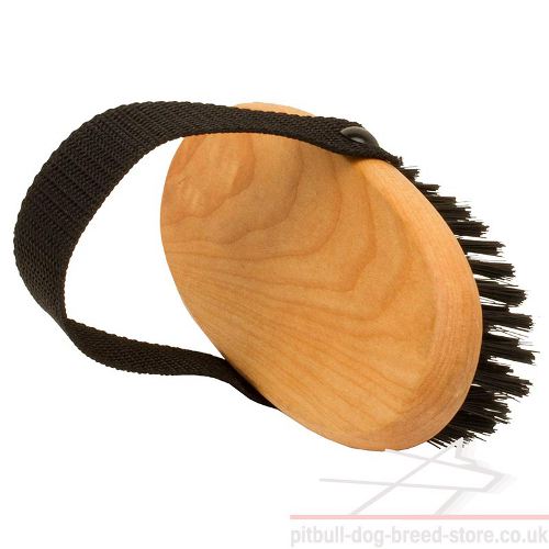 Best Dog Grooming Brush