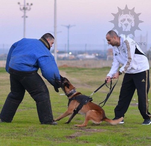 Attack Dog Training Clothes