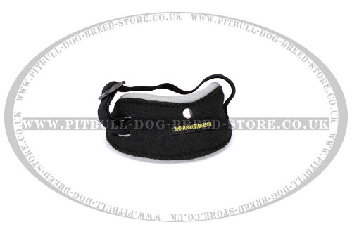 Best Dog Training Pouch