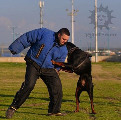 Dog Bite Suit UK