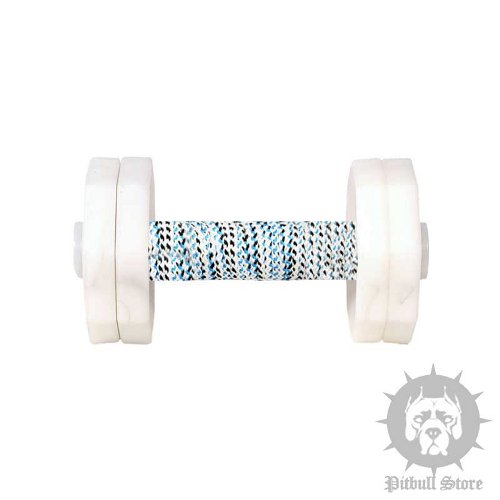 Dog Obedience Dumbbell Retrieve