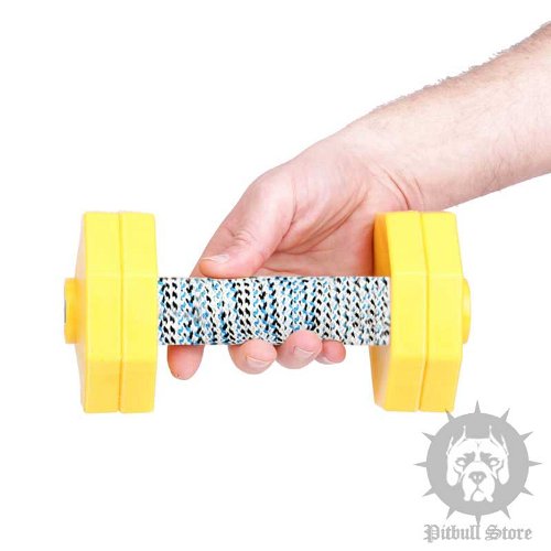 Dog Obedience Dumbbell Retrieve