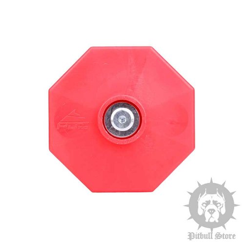 Dog Obedience Dumbbells UK