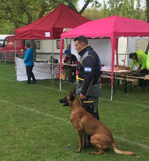 Dog Training Clothes UK