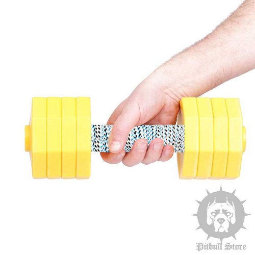 Dog Training Dumbbells UK