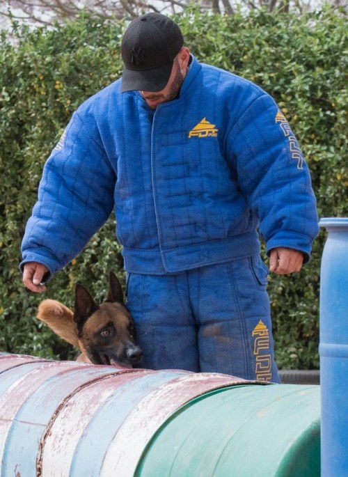 Dog Training Handler Jacket