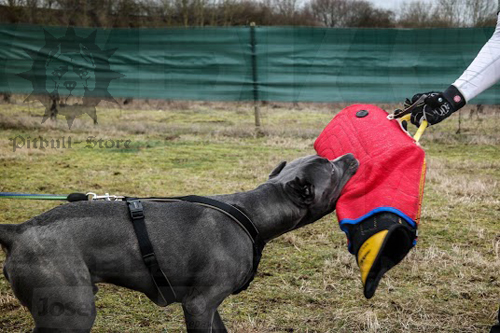 Dog Training Sleeve