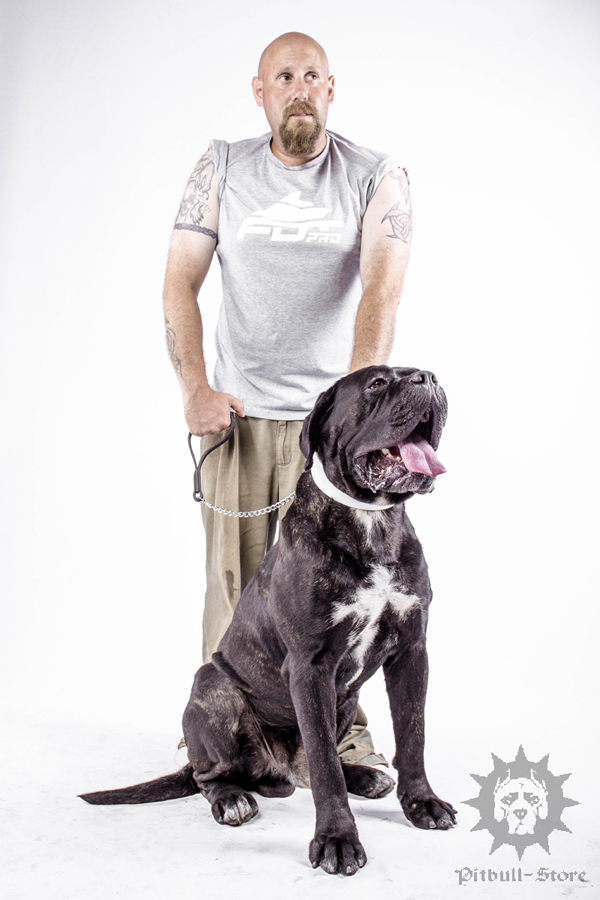 Dog Training T-shirt