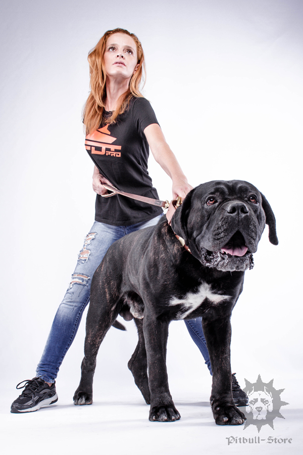 Dog Training T-shirt