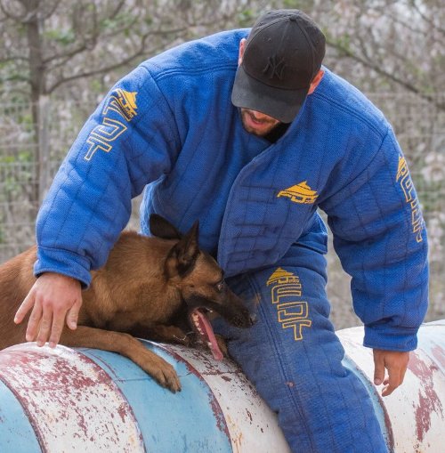 Jacket for Dog Training