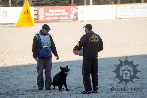 Dog Training Suit