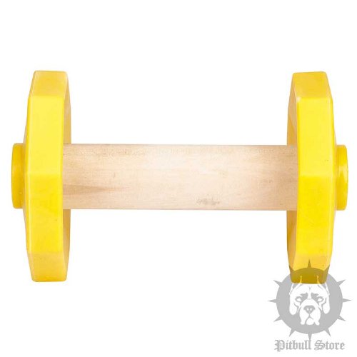 Plastic Dog Dumbbells