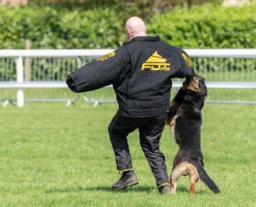 Police Dog Bite Suit