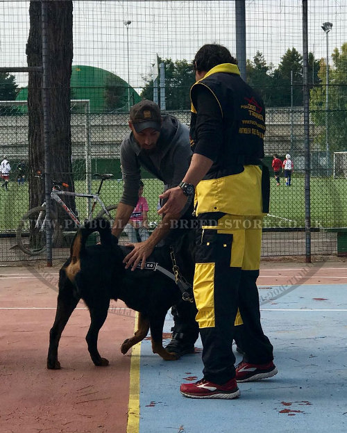 Protective Suit for Dog Training