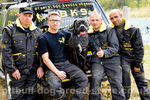 Police Dog Training Suit