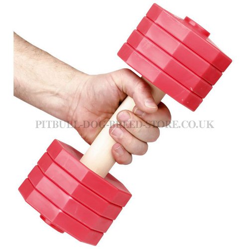 IGP Dumbbell Training