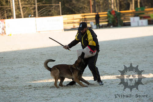 Dog Training Stick 