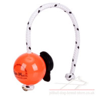 Dog Training Magnetic Ball with Multi Power-Clip Top-Matic