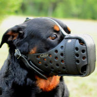 Working Dog Muzzles