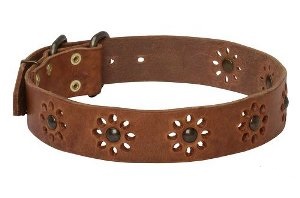 Easter Dog Collars
