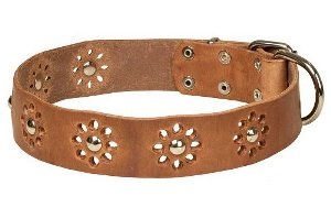 Easter Dog Collars UK