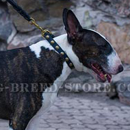 Studded English Bull Terrier Collar of Narrow Width