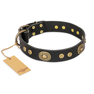 "Golden Radiance" FDT Artisan 1.5 inch Dog Collar in Black