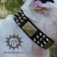 Bull Terrier Collar with Spikes, Pyramids and Plates, Exclusive