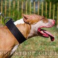 Extra Wide Strong Leather Dog Collar 2 Inch Wide for Pitbull