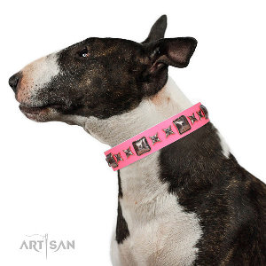 Female Pitbull Dog Collars