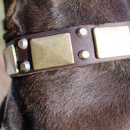 Wide Leather Dog Collar with Brass & Nickel Decorations