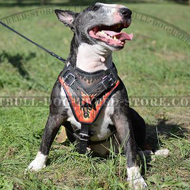 Handmade Dog Harness, Exclusive "Flame" Style for Bull Terrier