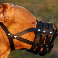 Leather Dog Muzzle, Super Ventilated for Pitbull and Staffy