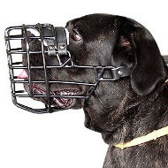 Wire Basket Dog Muzzle
