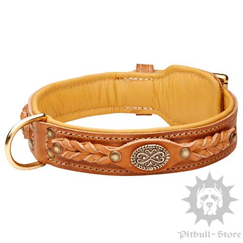 Royal Dog Collars