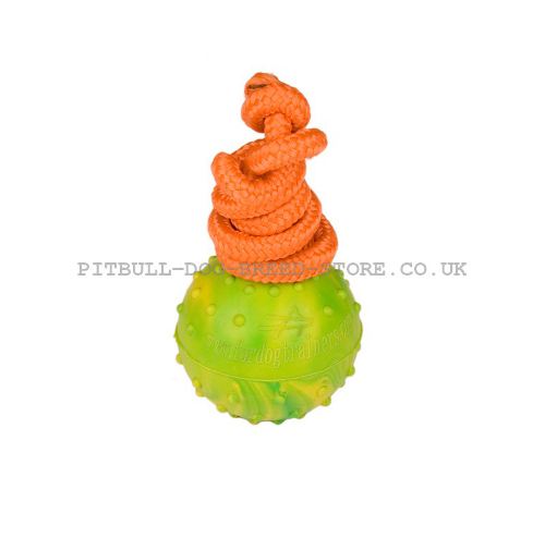 Dog Toy Ball of Natural Rubber on Rope for Staffy and Pitbull