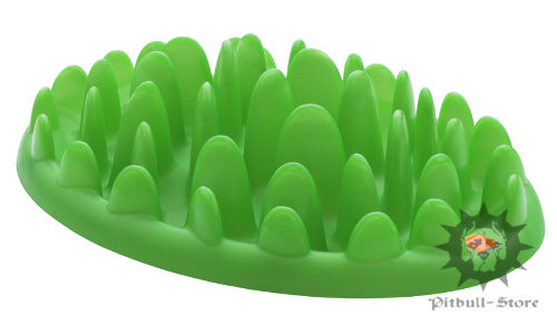 Interactive Green Feeder For Staffy Puppy Slow Eating