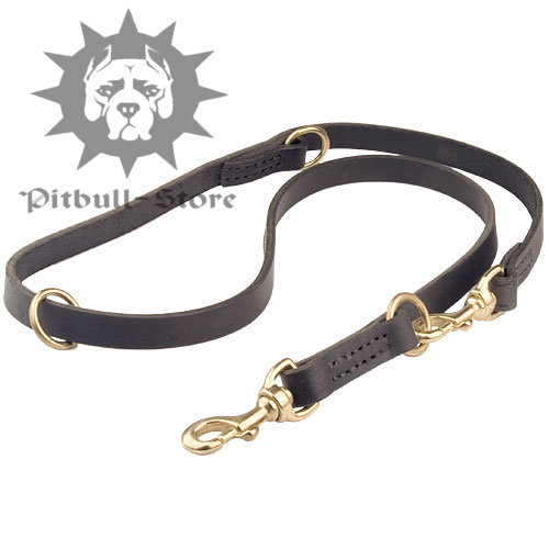 Leather Multi Functional Dog Lead, 3/4"