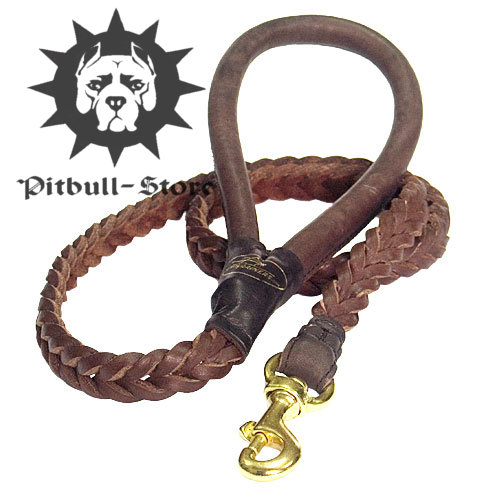 Durable and Stylish Braided Dog Lead of Brown Leather