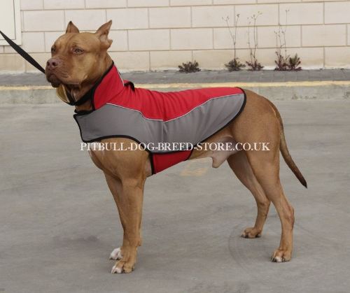 Warm Dog Coat of Nylon for Pitbull Warming, Reflective Straps